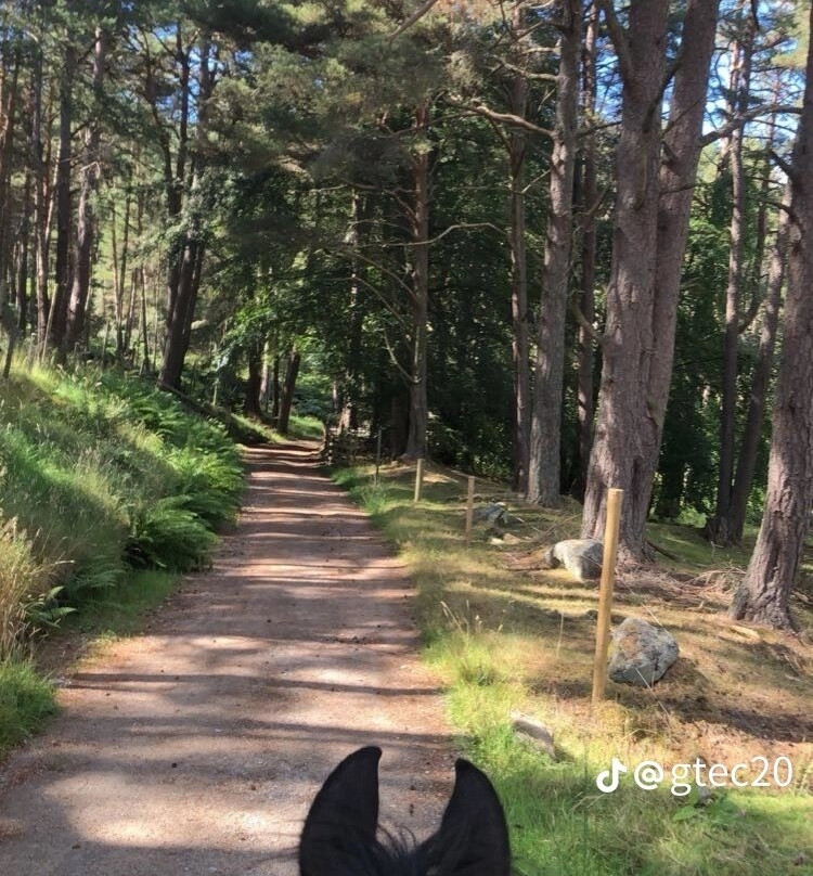 Derbyshire Pony Trekking-Mansfield必去景点