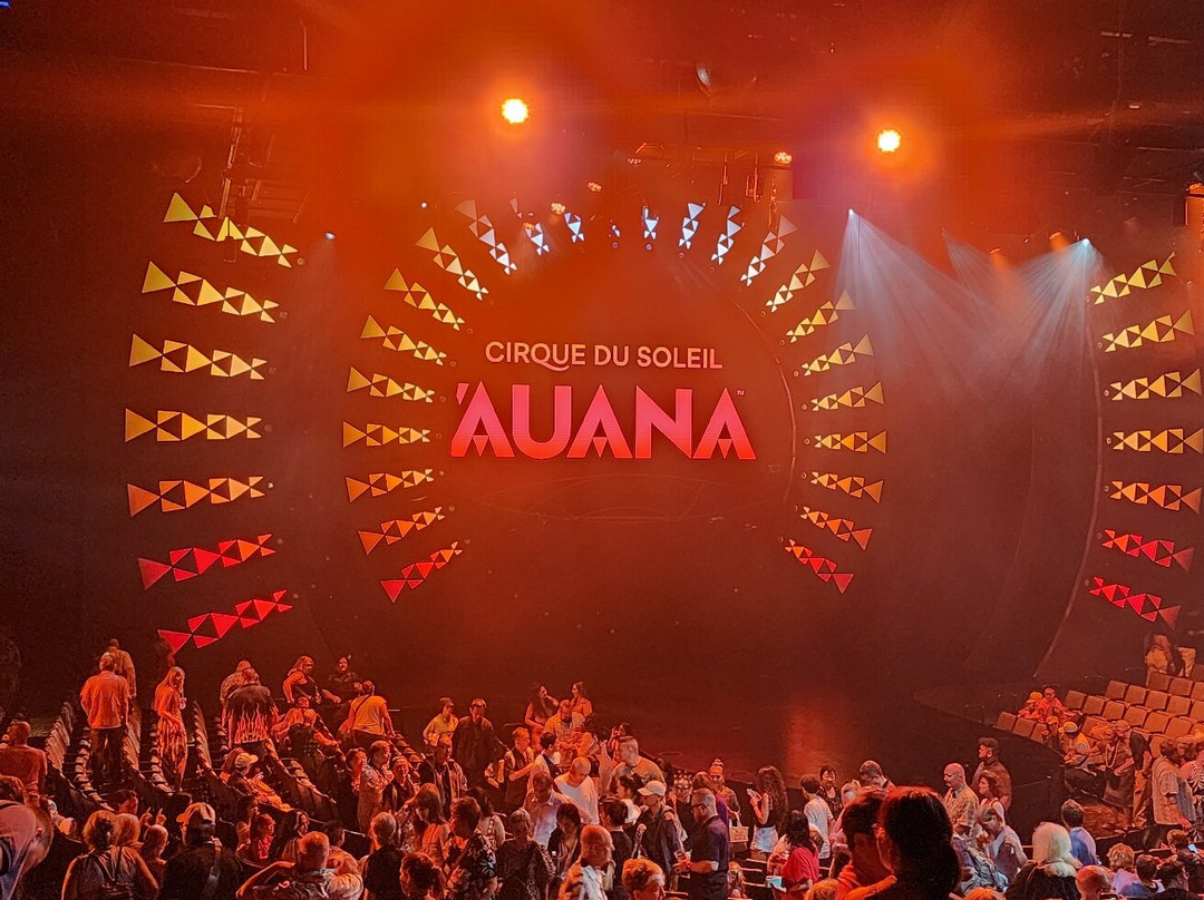 Cirque du Soleil 'Auana-火奴鲁鲁必去景点