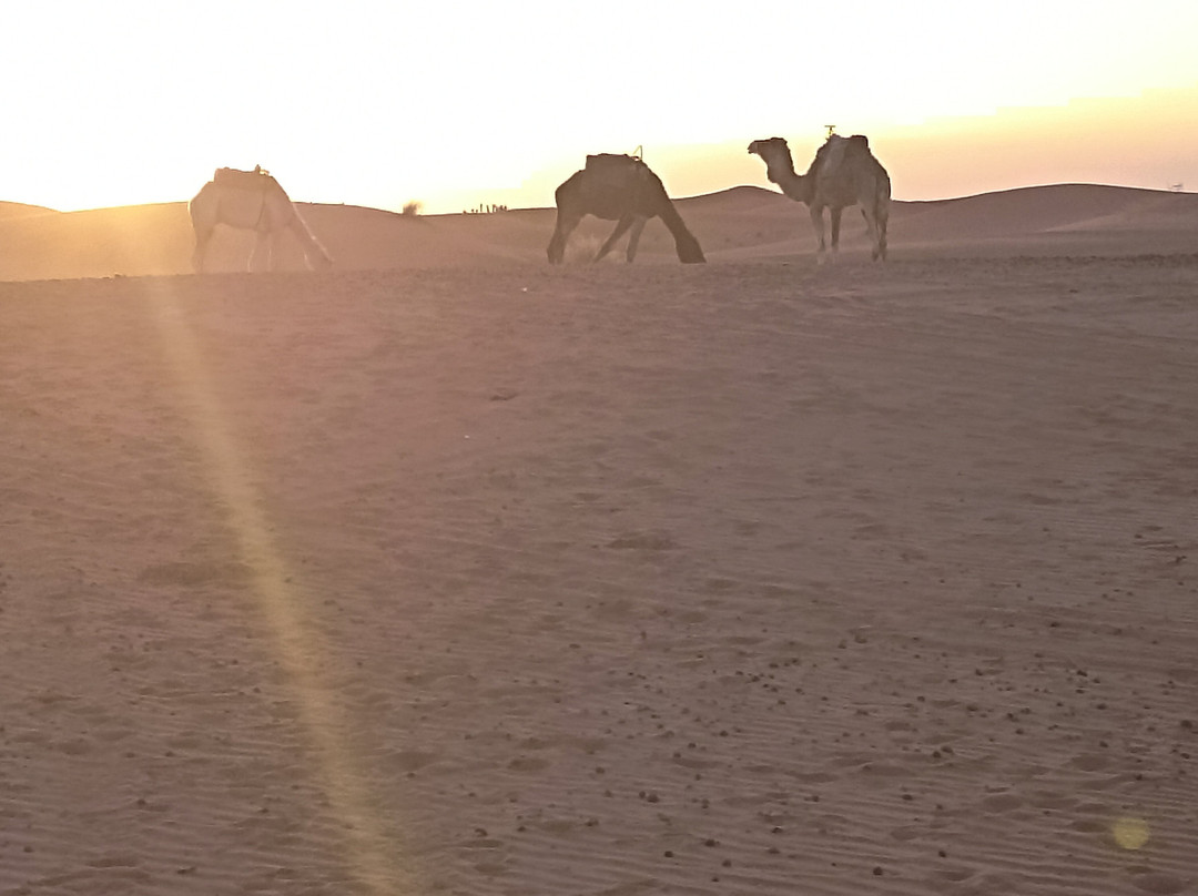 Authentic Travel Maroc - Private Day Tours-卡萨布兰卡必去景点