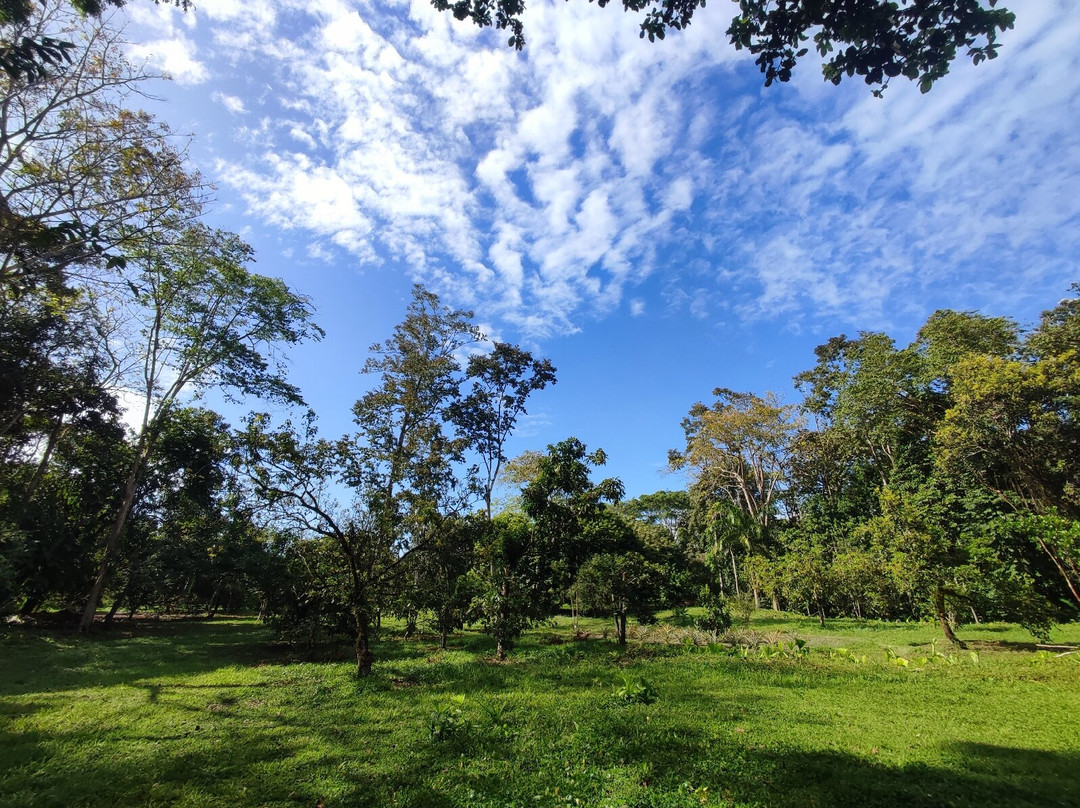 Old Reef Farm  - Fruit Tour-卡维塔必去景点