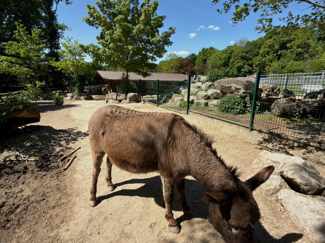 Bioparc Genève Pierre Challandes-Bellevue必去景点
