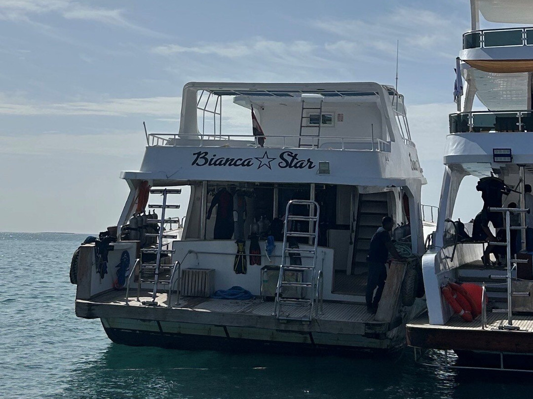 Red Sea Horse Diving-Hurghada 1必去景点