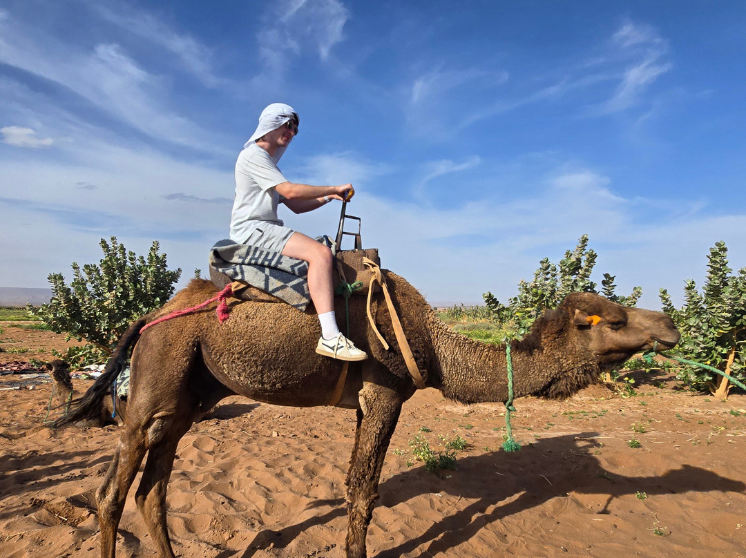 Reves Du Desert A Foum Zguid-Foum Zguid必去景点