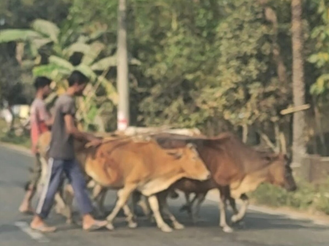 Bangladesh Scenic Tours-达卡市必去景点