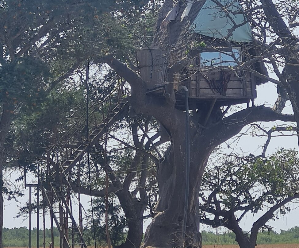 Office de Tourisme de Casamance-济金绍尔必去景点