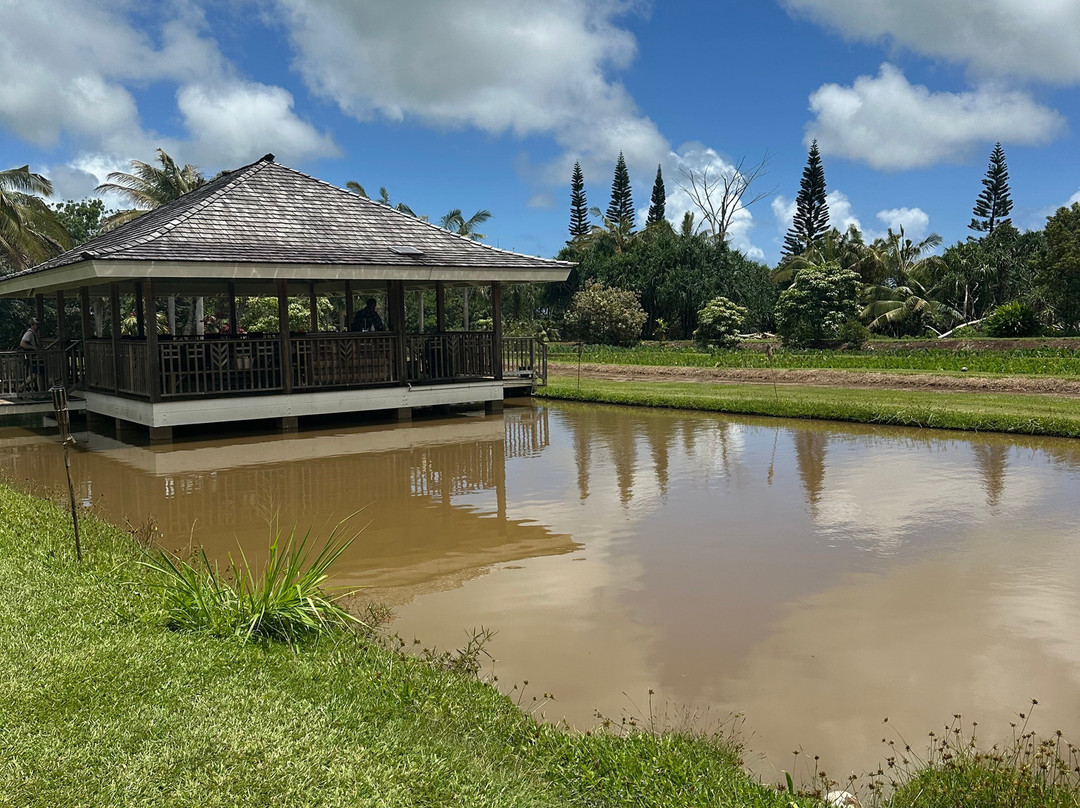Koloa Rum Company-利胡埃必去景点