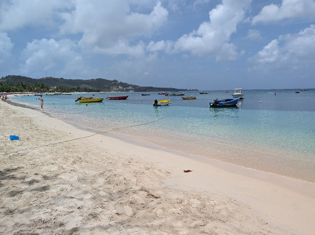 Grand Anse Beach-South Coast必去景点