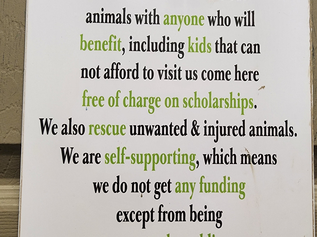 Horse Power for Kids & Animal Sanctuary-坦帕必去景点
