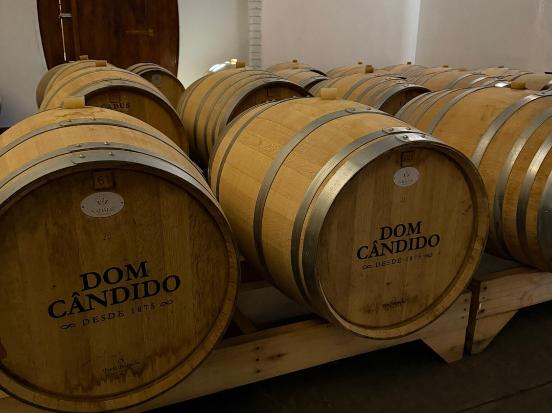 Vinicola Dom Cândido-本图贡萨尔维斯必去景点