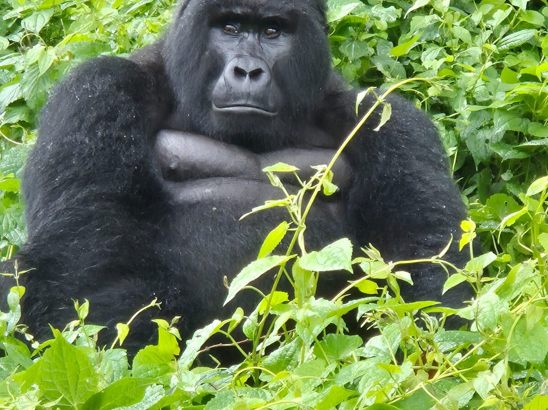 Moroka Expeditions-坎帕拉必去景点
