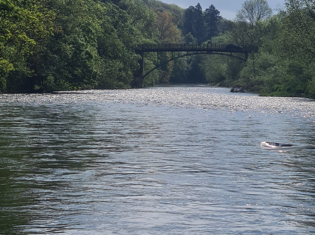 Paddleboarding Adventures-瓦伊河畔罗斯必去景点