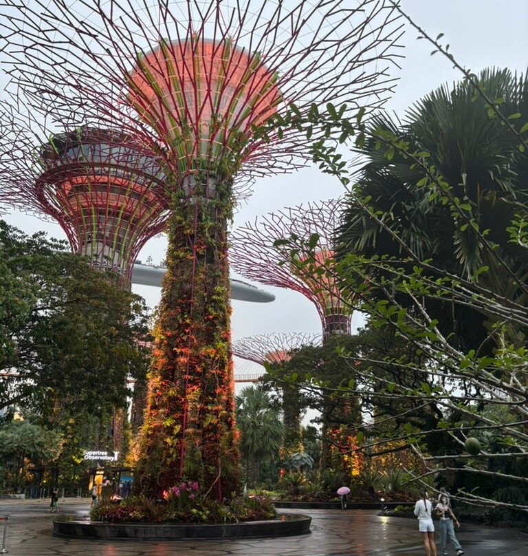 Go City | Singapore-新加坡必去景点