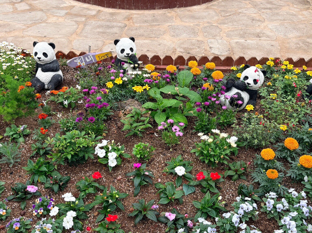 Geoje Botanic Garden Jungle Dome-巨济市必去景点