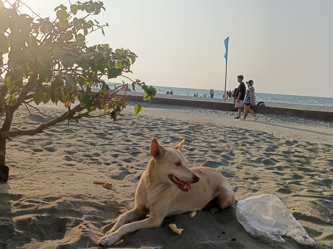 Bonuan Blue Beach-拉牛板必去景点