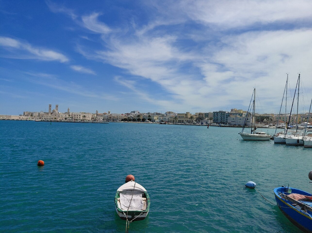 Duomo di Molfetta - Parrocchia San Corrado-莫尔费塔必去景点