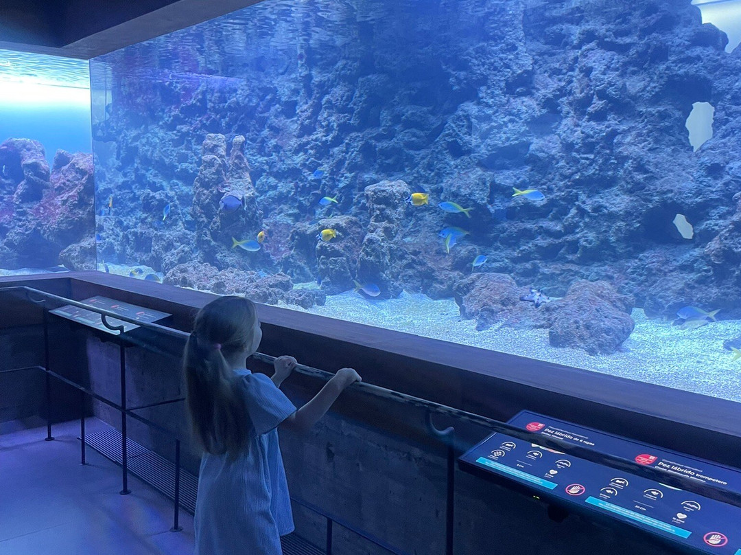 Bioparc Fuengirola-福恩吉罗拉必去景点