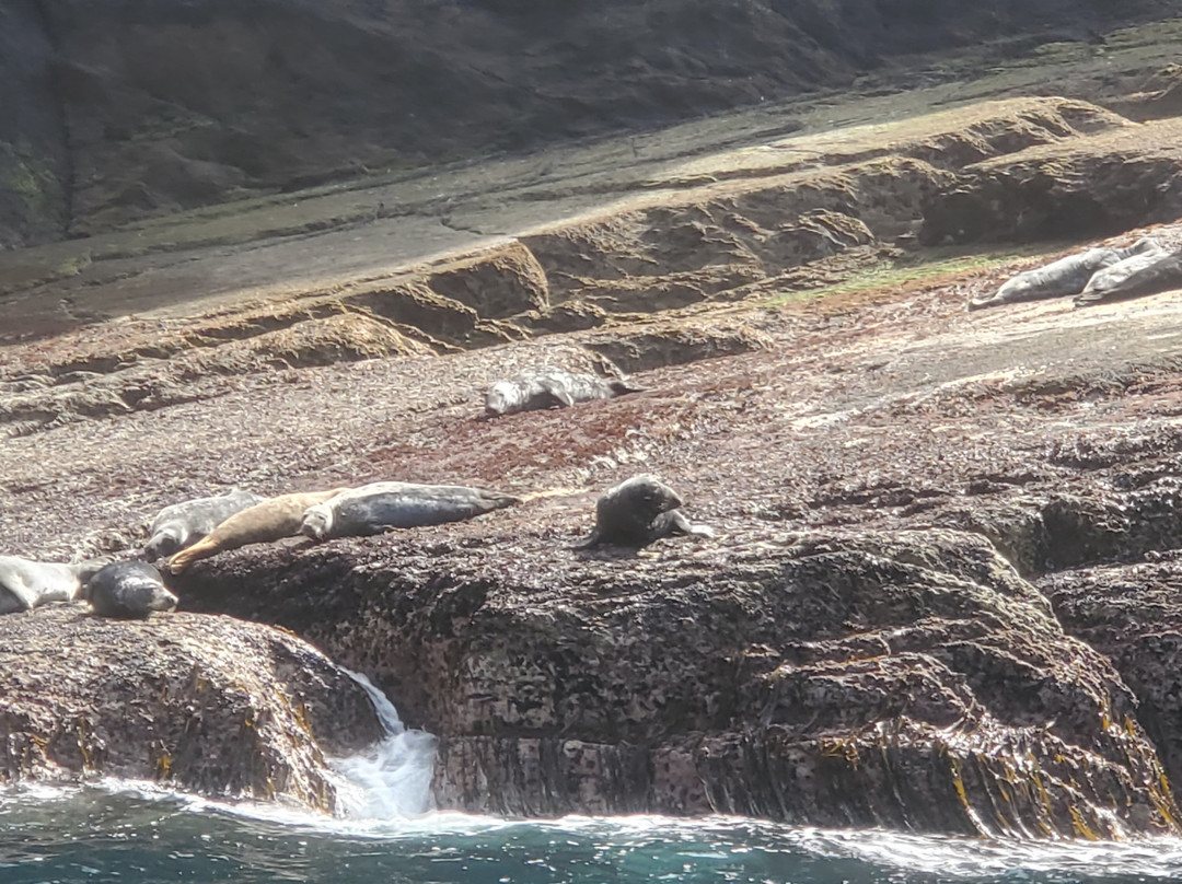 Skellig Coast Adventures-Portmagee必去景点