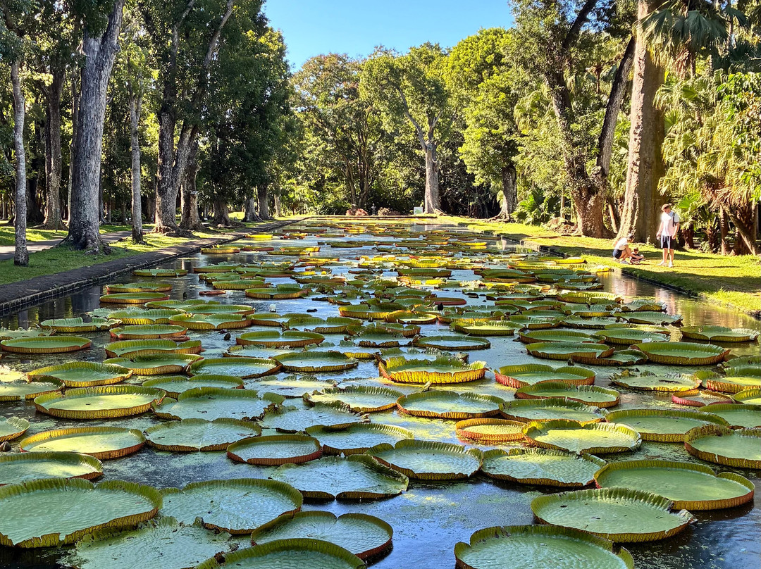 Paradisio Excursions Ile Maurice-大湾必去景点