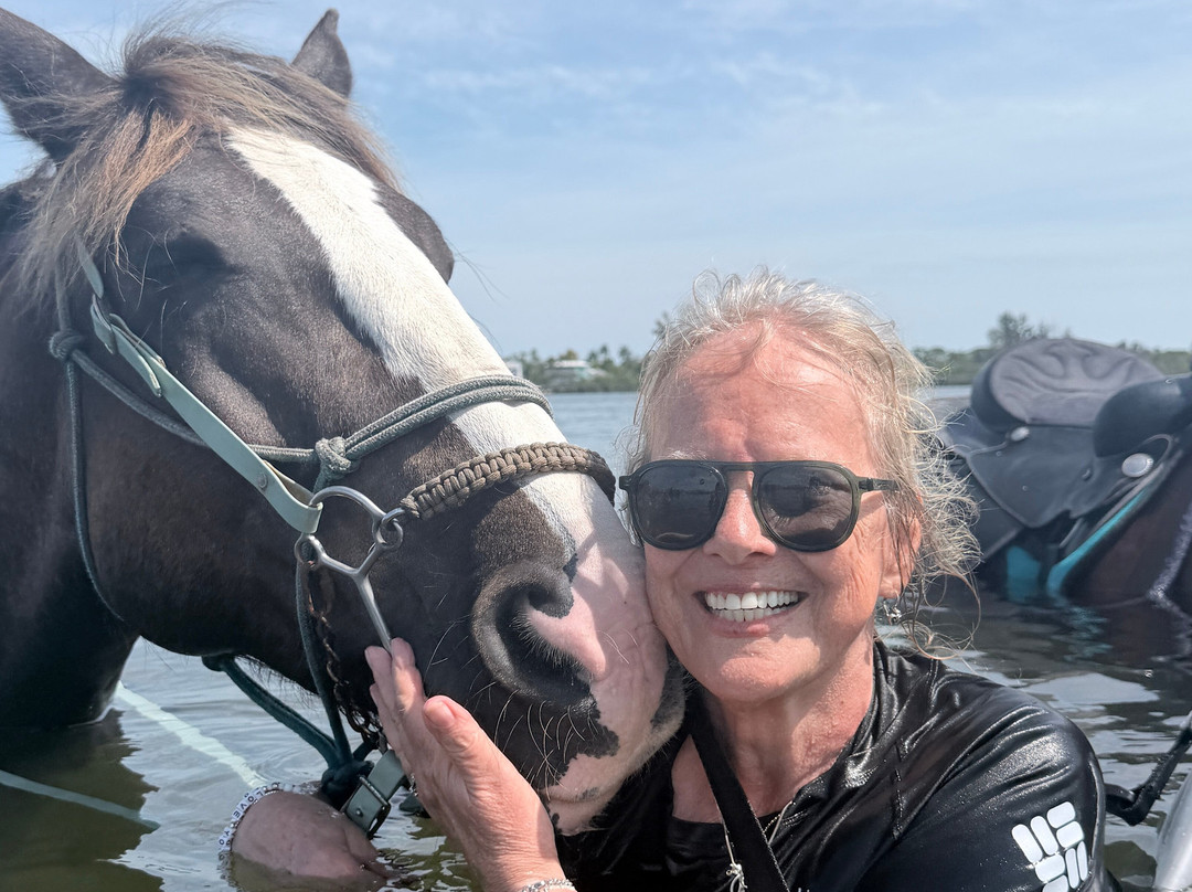 Florida Beach Horses-布雷登顿必去景点