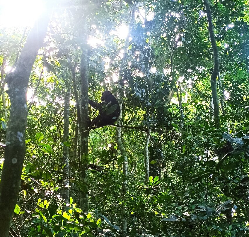 ENCHANTED UGANDA SAFARIS-Fort Portal必去景点