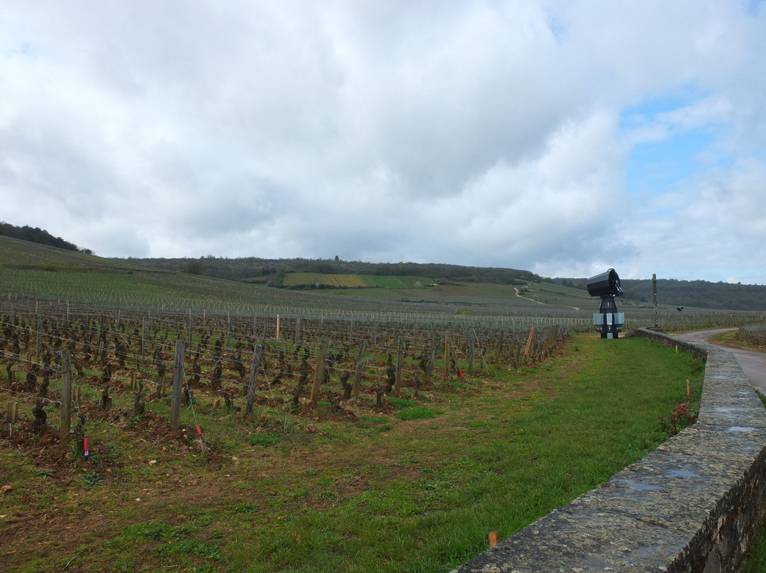 Domaine de la Romanee-Conti-Vosne-Romanee必去景点