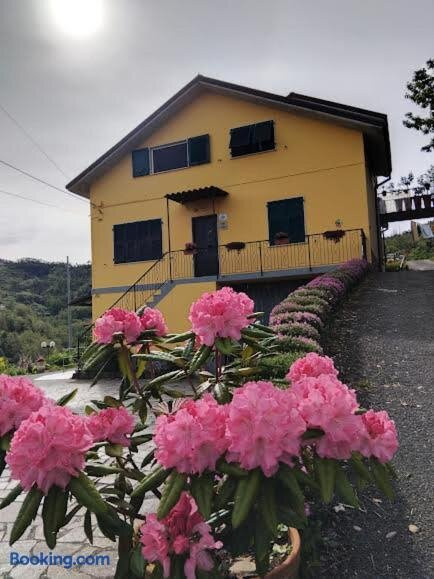 La Valle Fiorita