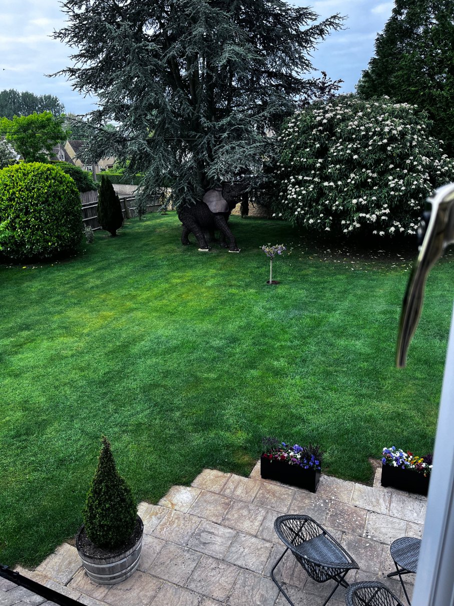 Southlands Bed & Breakfast-旅行者