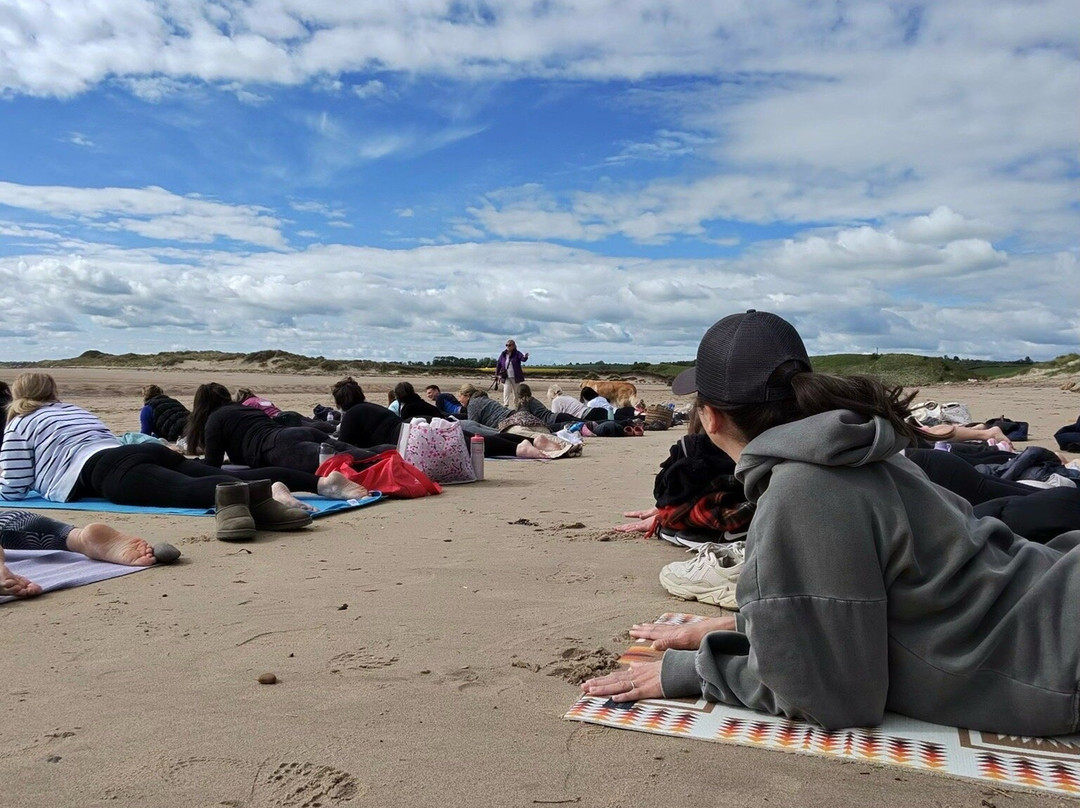 Alnmouth Beach-Alnmouth必去景点