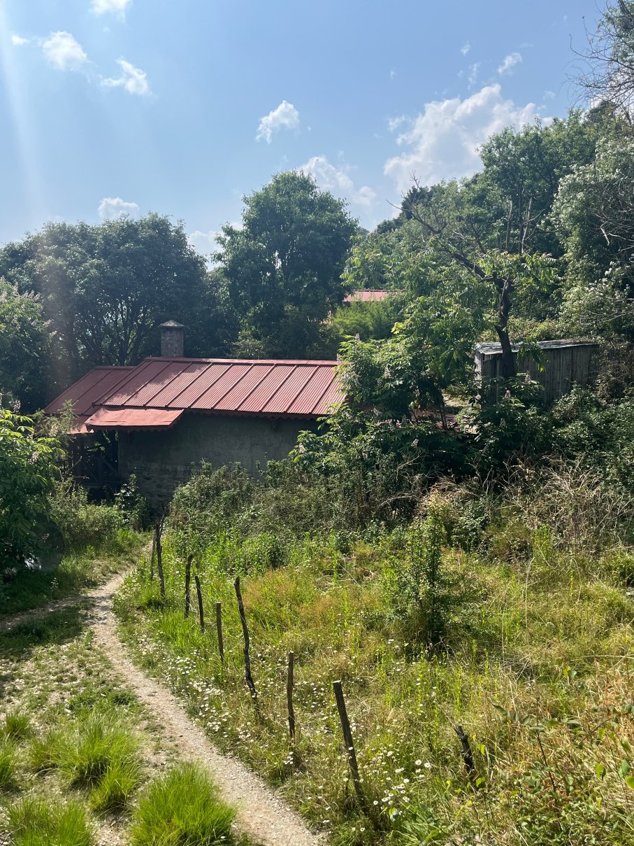 丛林传说观鸟小屋-旅行者