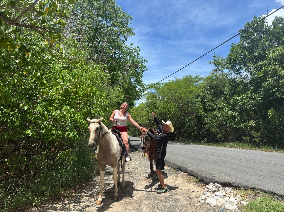 Equus Rides Horseback Riding St. Croix-Frederiksted必去景点
