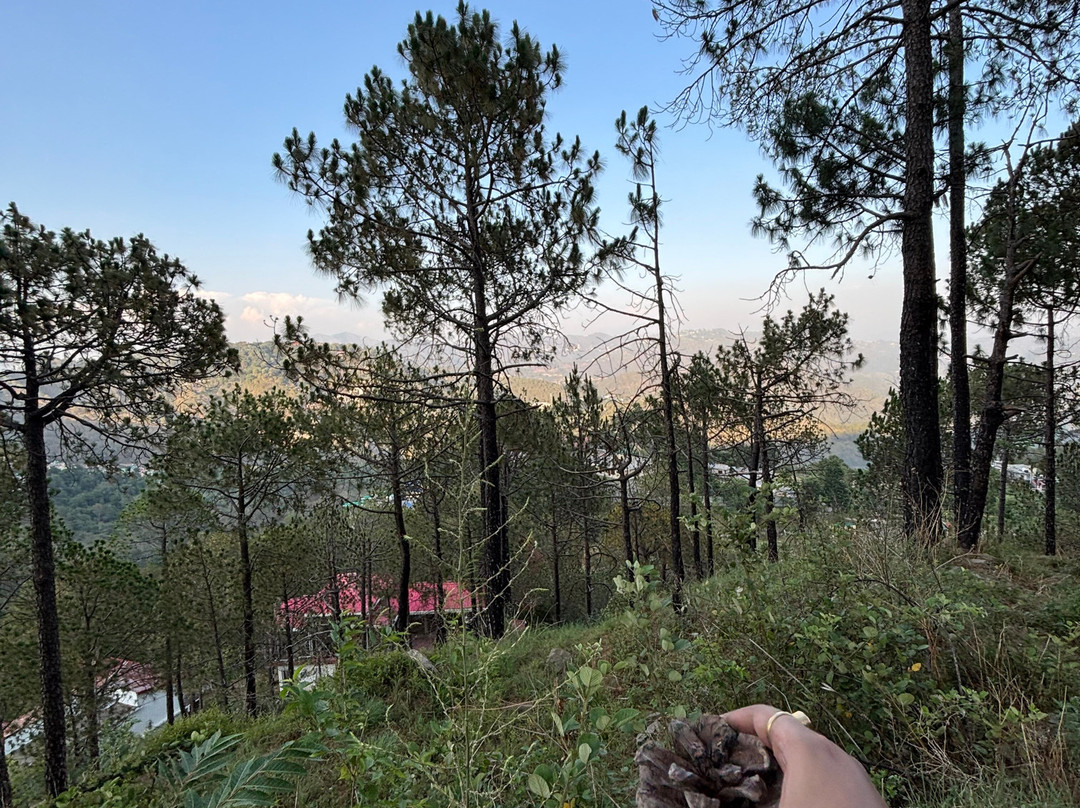 Kasauli Nature Walks With Vanita-Kasauli必去景点