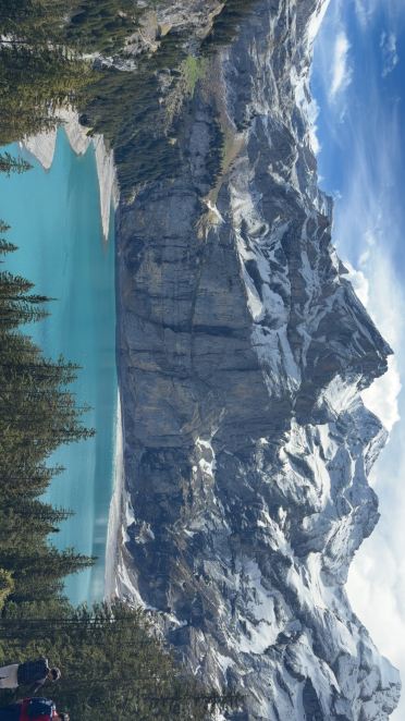 Hotel Ermitage Kandersteg-旅行者