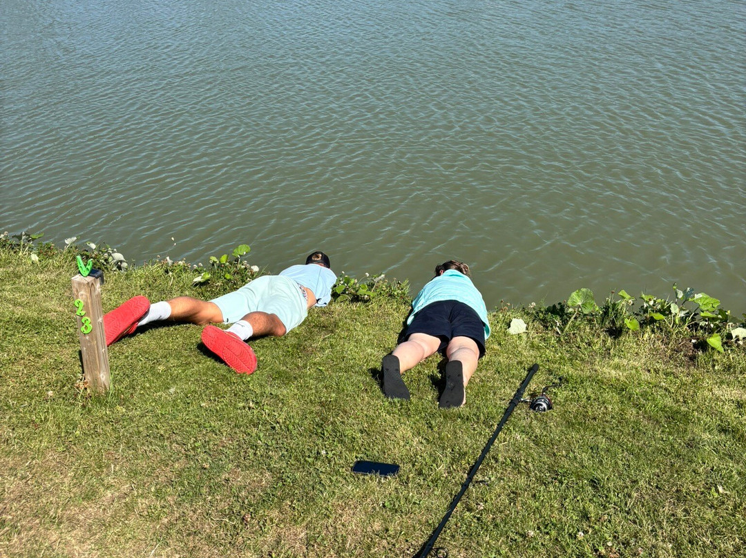 Fish Fun Vrouwenpolder-Vrouwenpolder必去景点