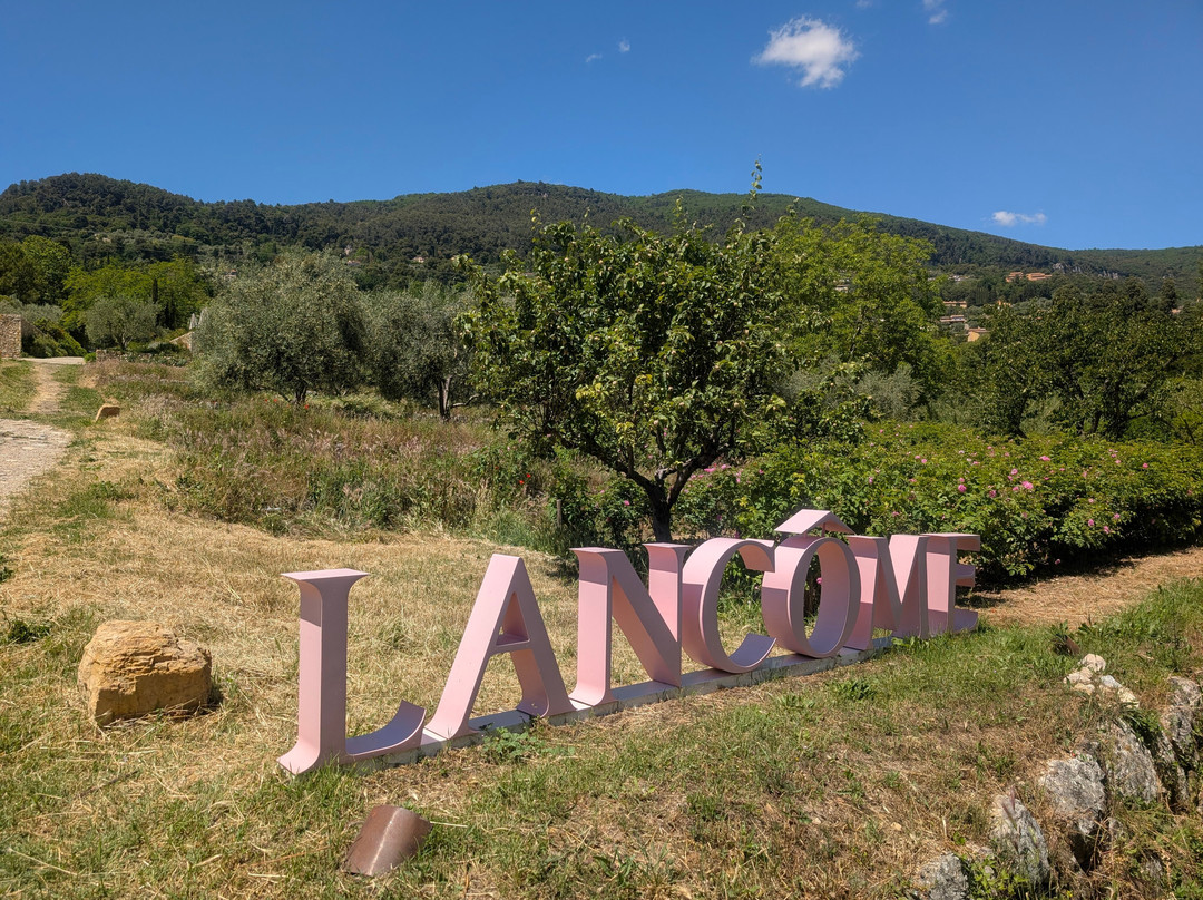Domaine De La Rose Lancôme-Chateauneuf de Grasse必去景点