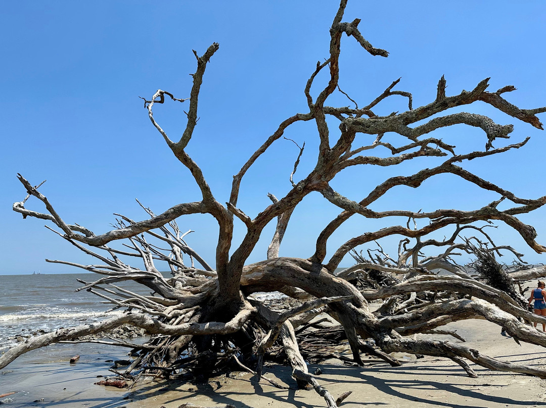 Driftwood Beach-吉柯岛必去景点