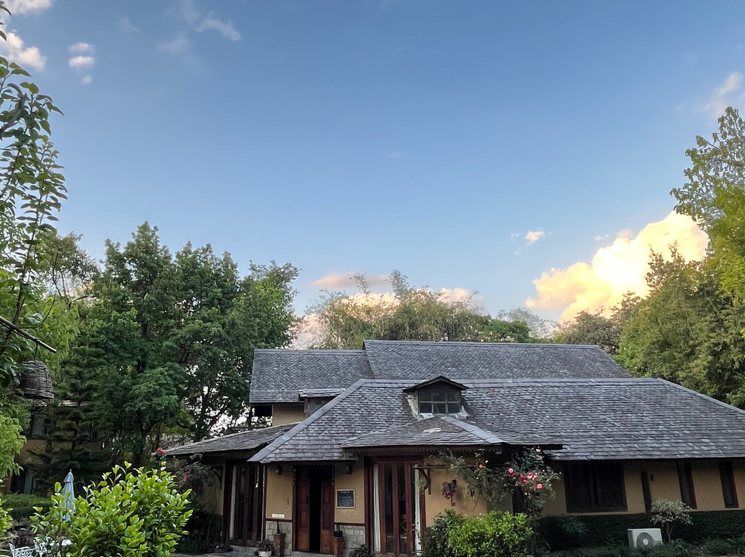 The Lodge at Wah, Palampur主图