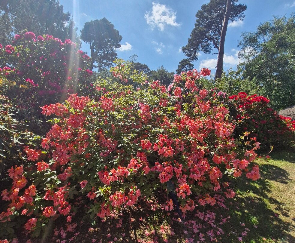 Sheringham Park-Sheringham必去景点