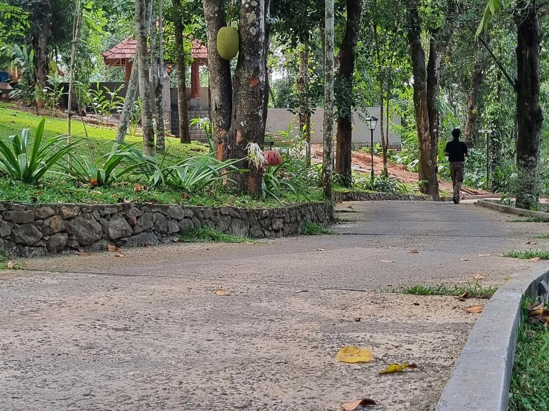 Crystal Kuruva Nature Resort & Spa主图