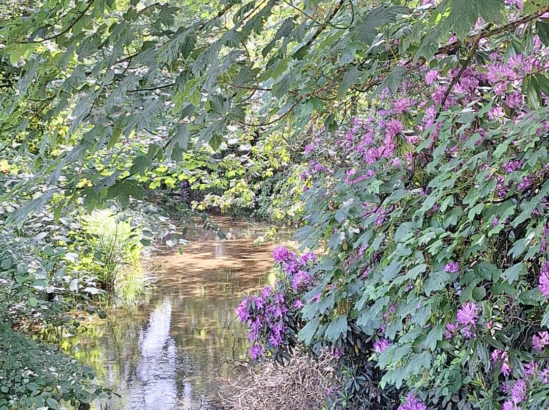 Newstead Abbey-Ravenshead必去景点