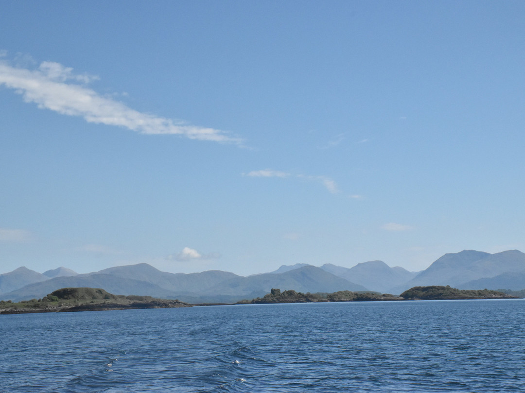 Etive Boat Trips-奥本必去景点