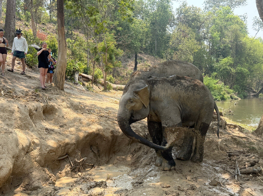 Pon Elephant Thailand-Mae Win必去景点