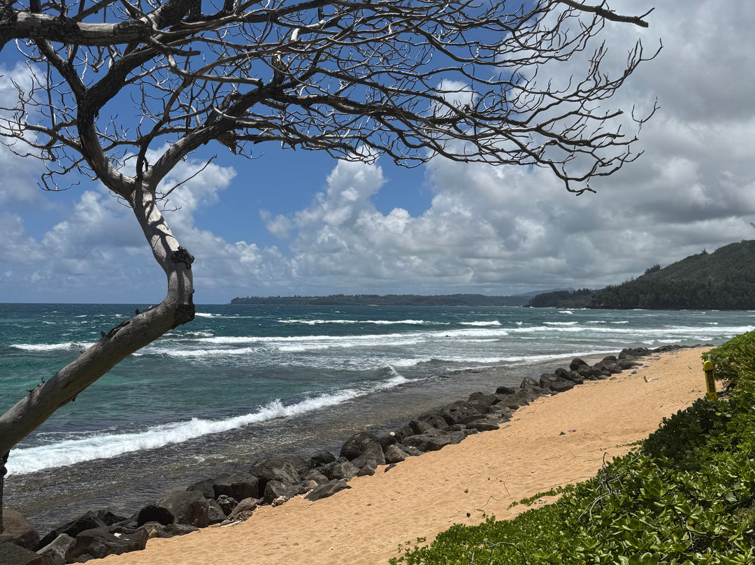 Hanalei Day Spa-哈纳雷伊必去景点