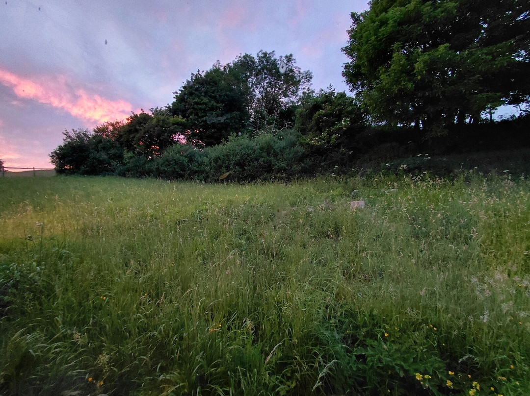Badger Watch Dorset-Buckland Newton必去景点