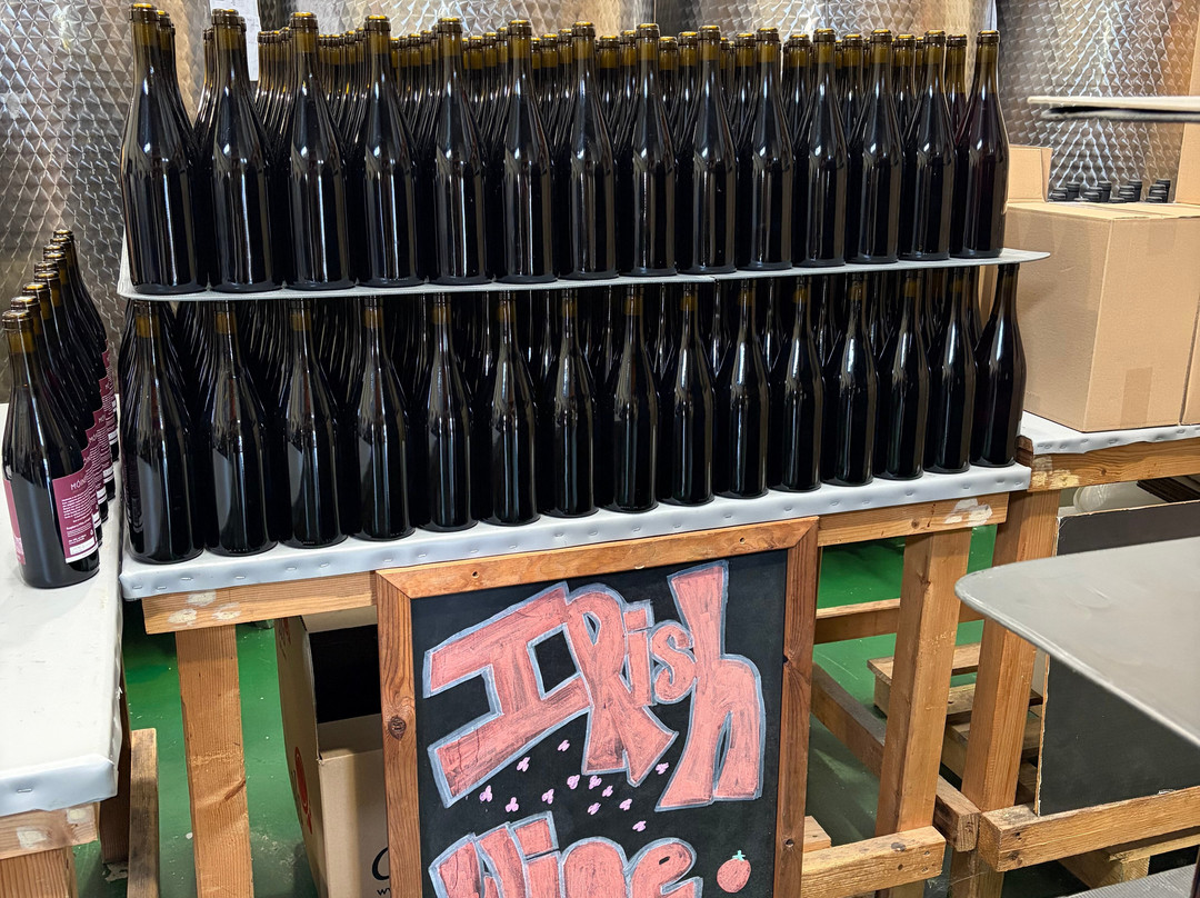 Wicklow Way Wines-Newtown Mount Kennedy必去景点