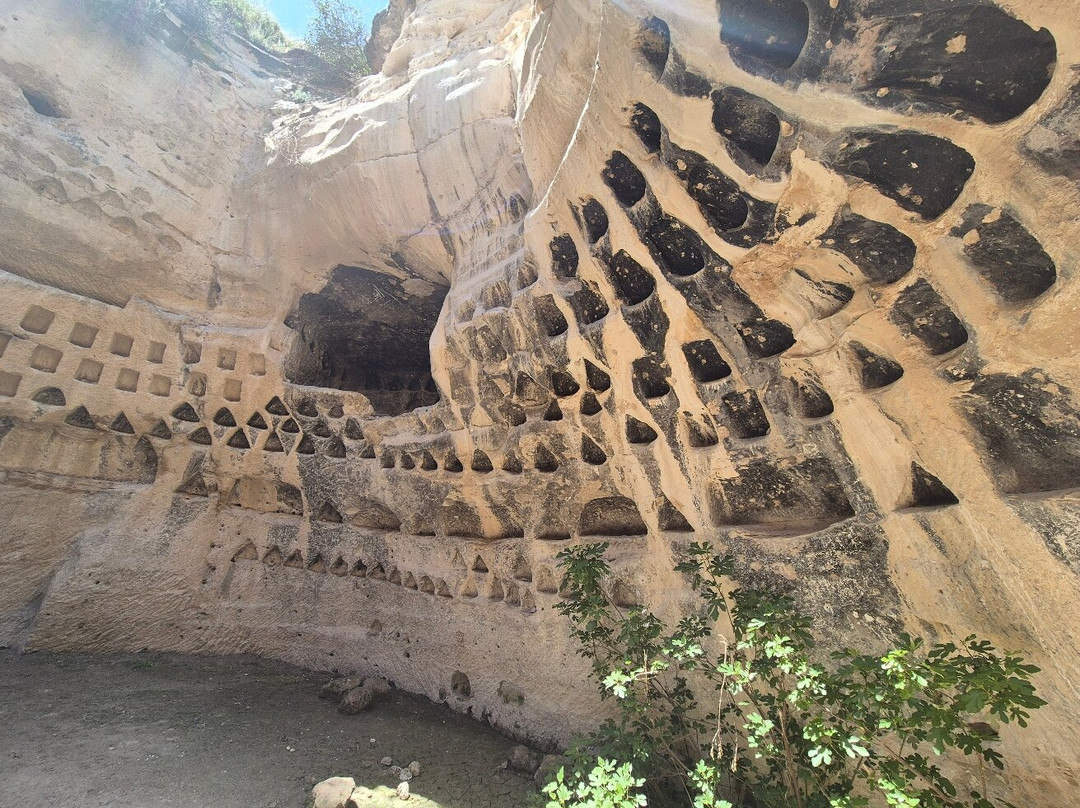 Adullam Grove Nature Reserve-Beit Shemesh必去景点