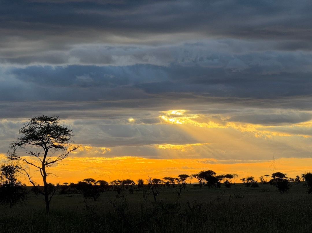 African Scenic Safaris-莫西必去景点