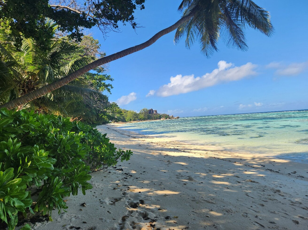 Petite Anse-拉迪格岛必去景点