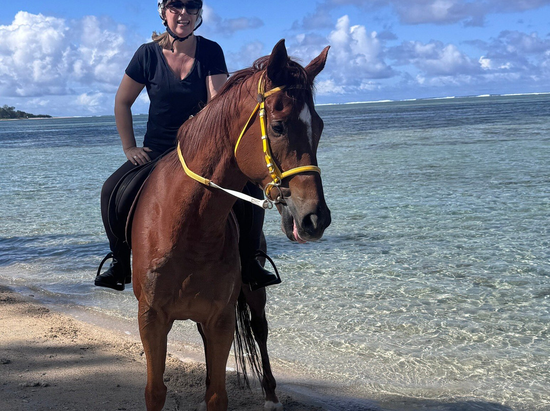 HORSE RIDING RIAMBEL- Centre Equestre De Riambel-Riambel必去景点