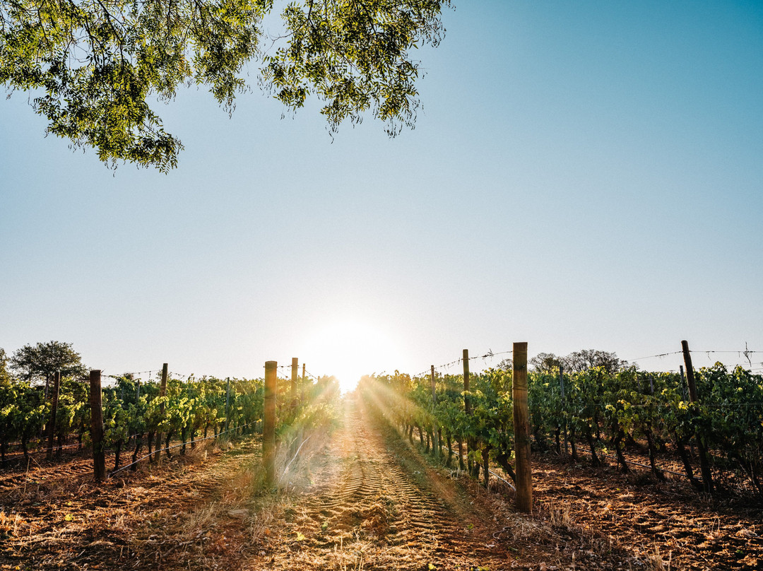Domaine la Baume