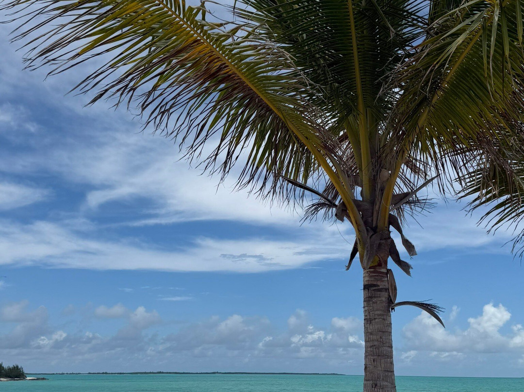 Abaco Tours & Activities-Treasure Cay必去景点